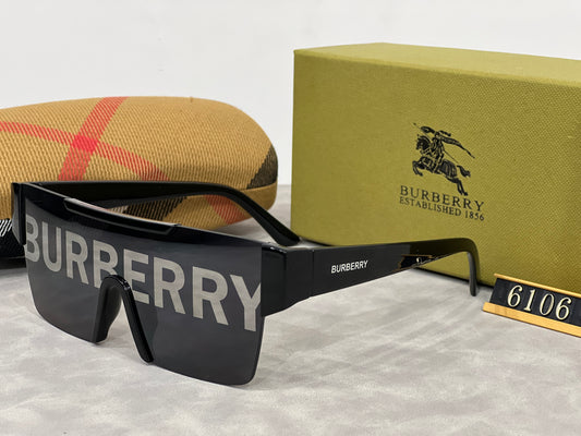 Sunglasses 29